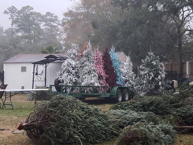 Audubon rv resort