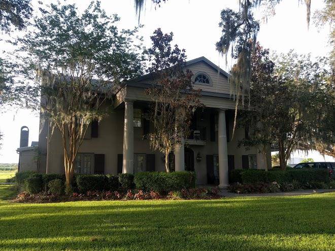 Twelve oaks plantation