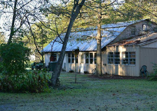 Wildlife Gardens Image