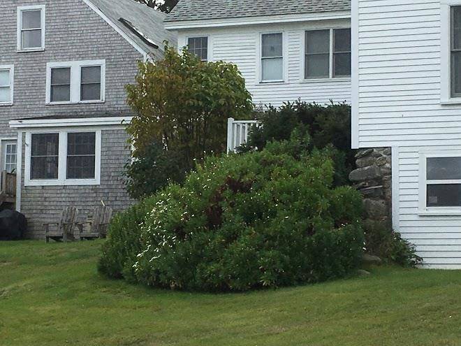 Inn at ferry landing
