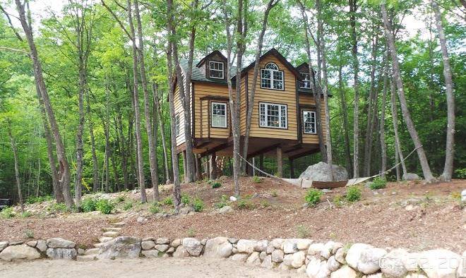 Timberstone adventures