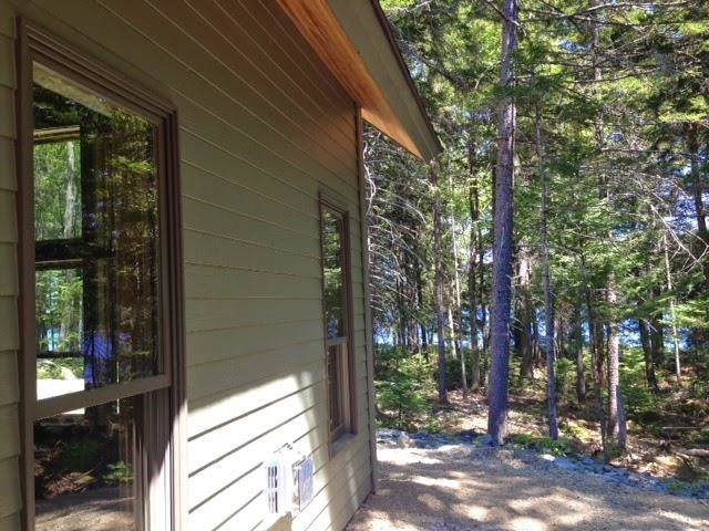 Twin pines at neoc