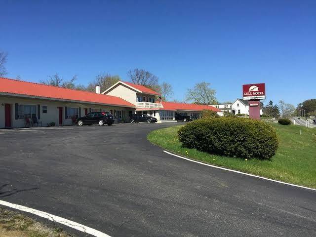 The gull motel