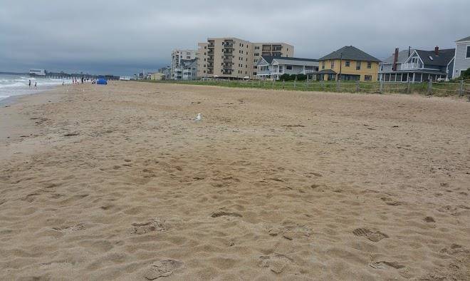 Beachfront condominium association