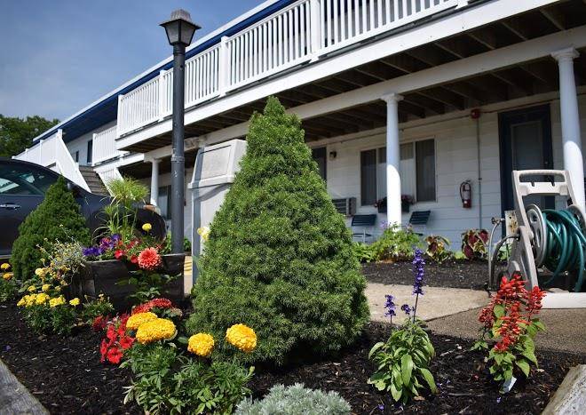 Oxcart motel