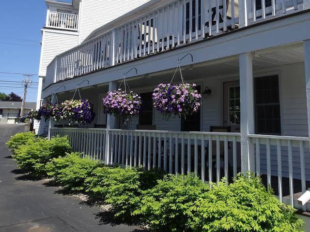 Pink blossoms resorts
