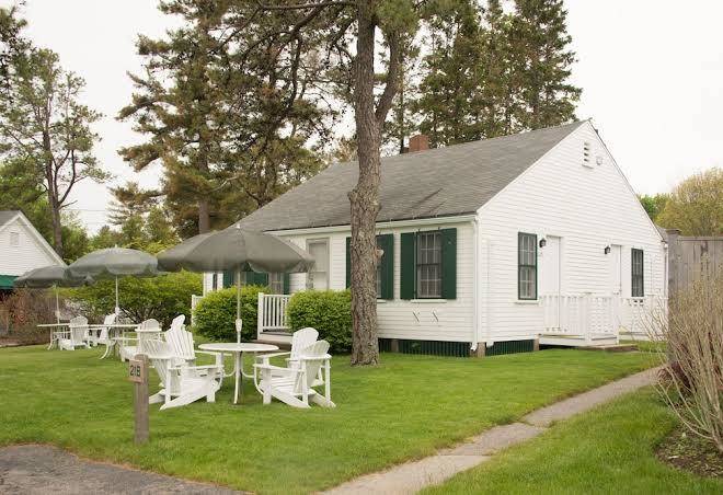 The dunes on the waterfront