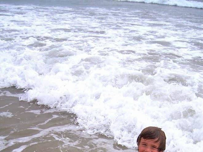 The ocean tripp inn