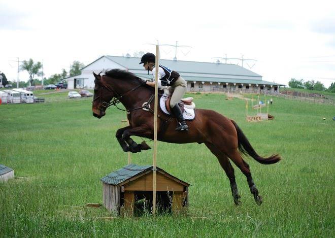 Holiday stables bed and breakfast