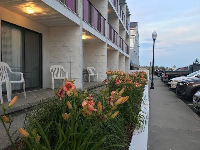 Simple life motel