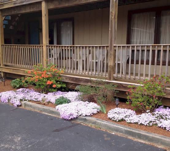 Mainstay motor inn