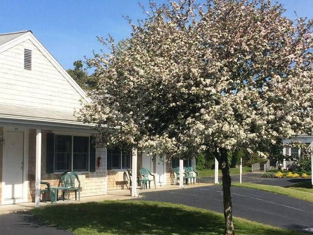Chatham motel