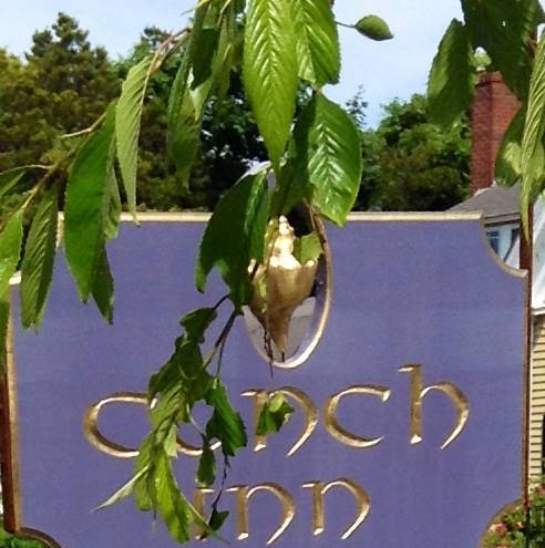 The conch inn