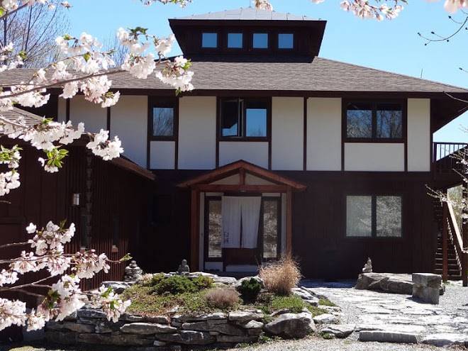 Berkshires shirakaba