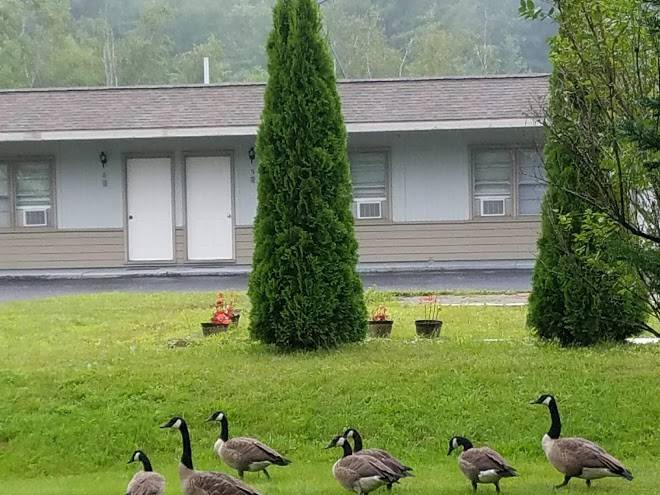 The becket motel