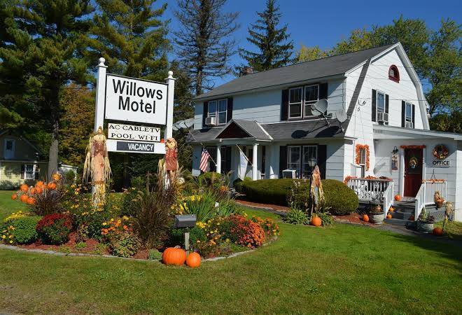 Willows motel