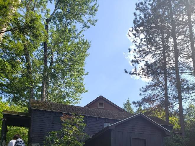 Erving state forest