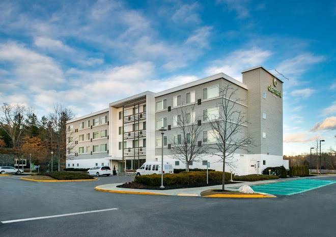 Element lexington
