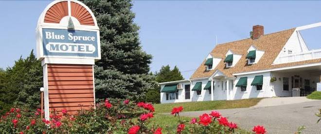 Blue spruce motel