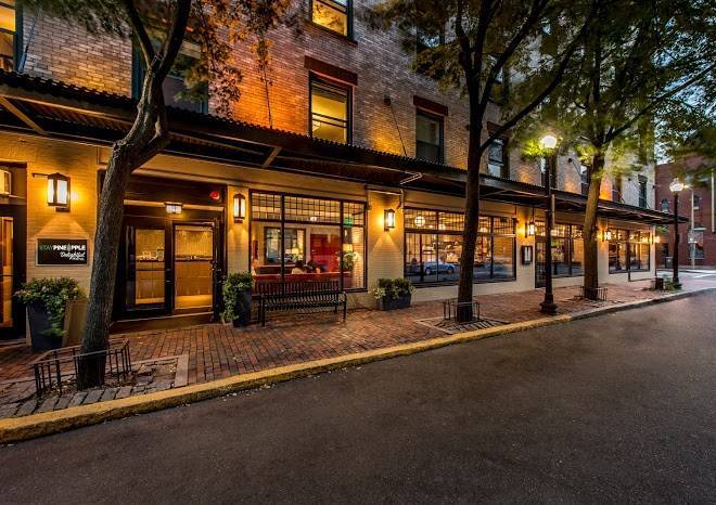 Staypineapple a delightful hotel south end boston