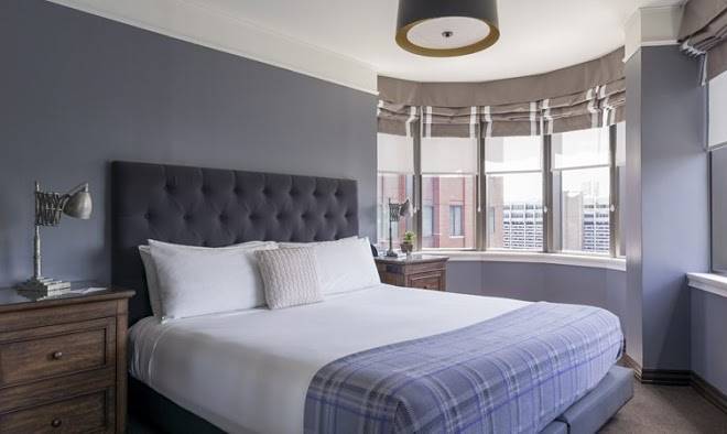 The Boxer Boston Image