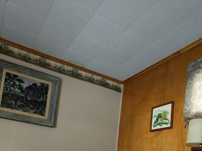 Tall pines motel