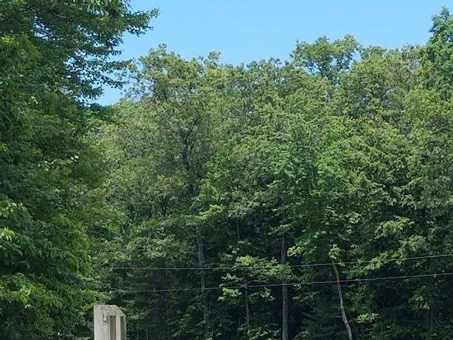Pioneer county park