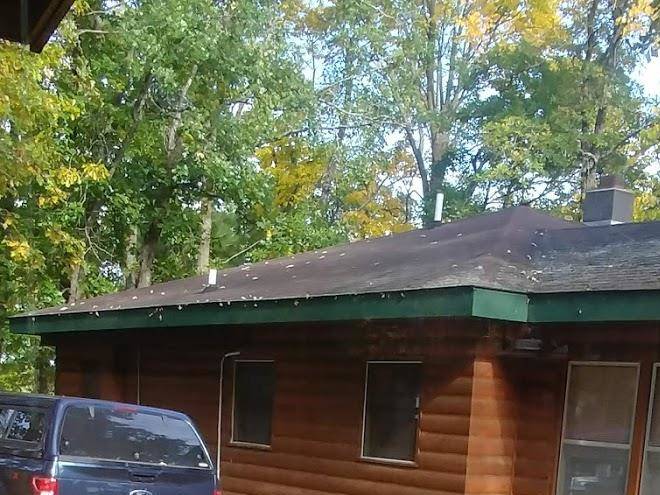 Finn N Feather Resort Image