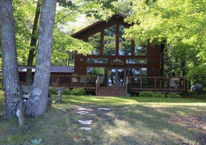 Cozy bear cabin