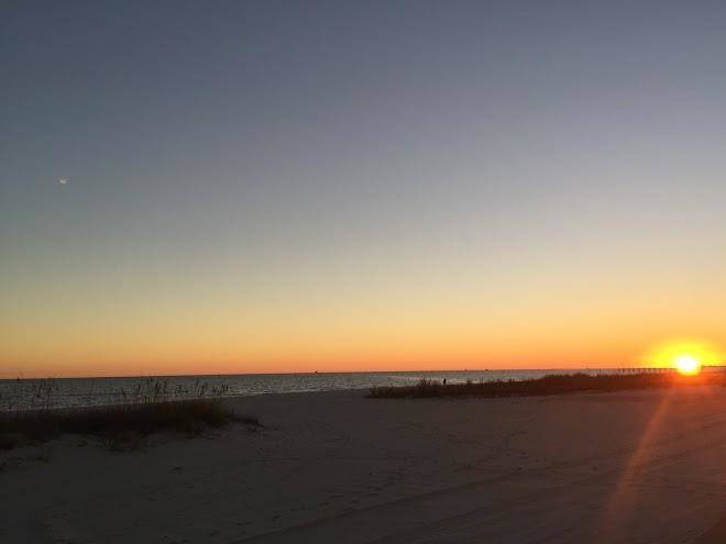 Ocean Wave Oasis Image