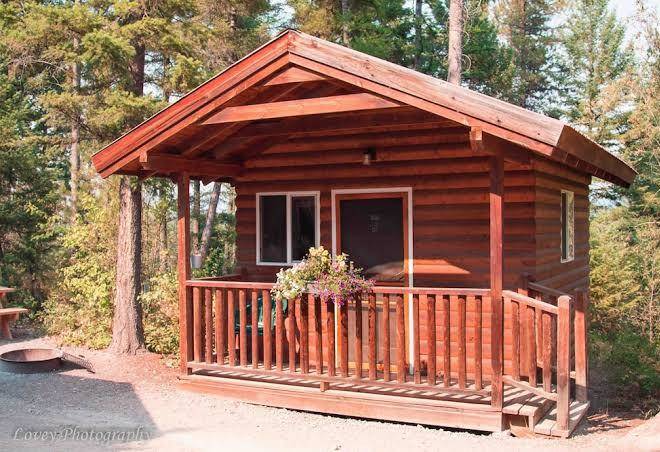 Timber wolf resort