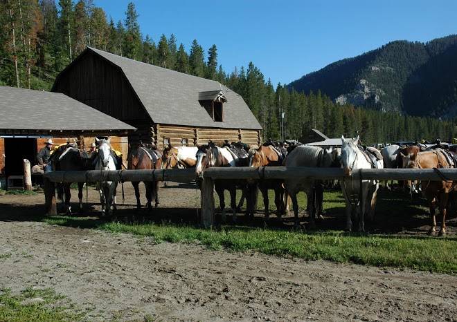 Elkhorn ranch