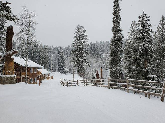 Yellowstone alliance adventure