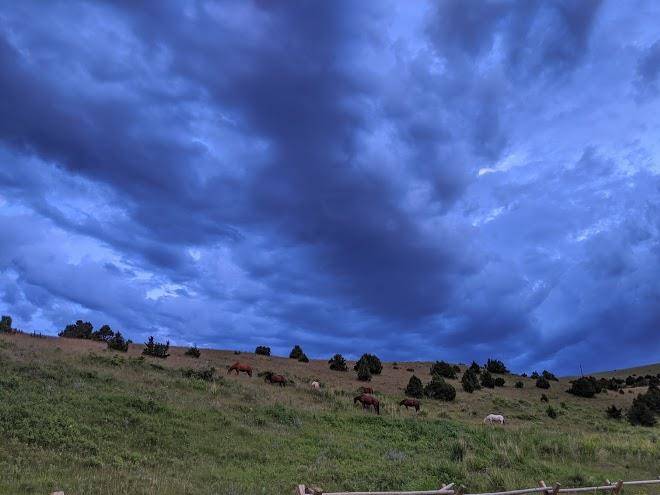 Eriks ranch