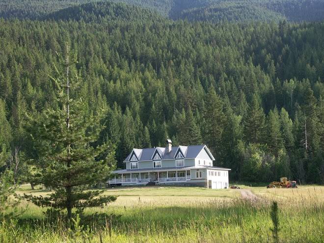 Amber bear inn