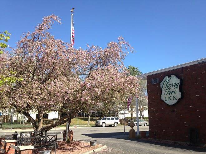 Cherry tree inn