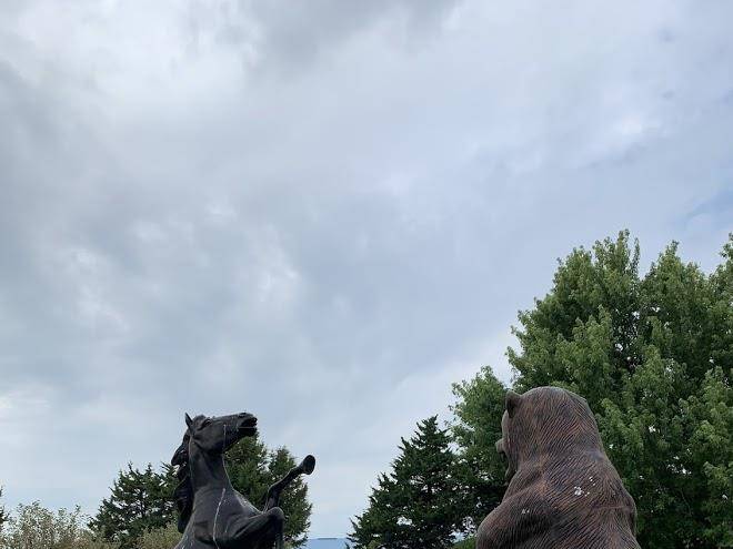 Pine grove rv park