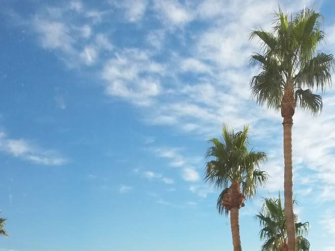 Golden nugget laughlin