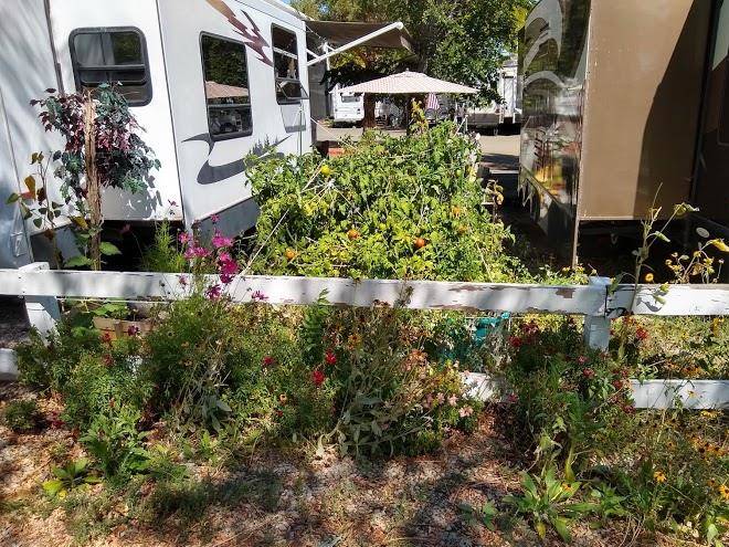 Rivers edge rv park