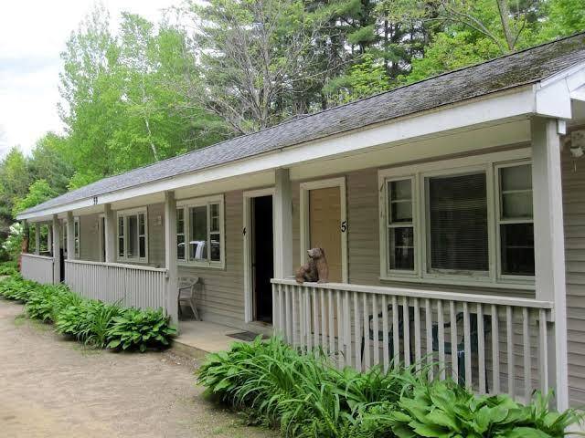 Bear tree lodge
