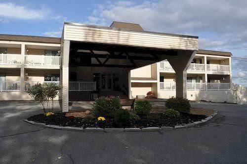 Brickyard cedar lodge