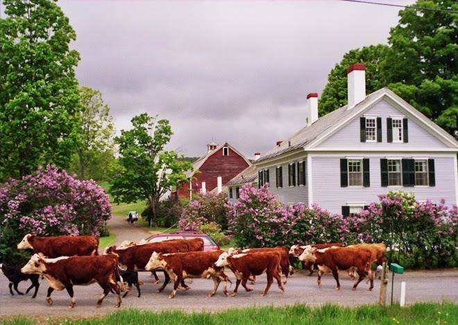 Inn at valley farms