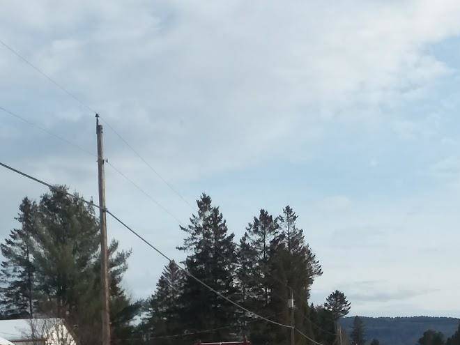 Akers pond inn