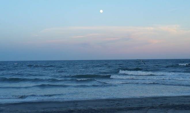 A shore view