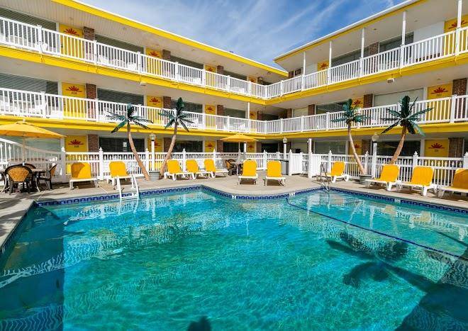 American Safari Motel Image