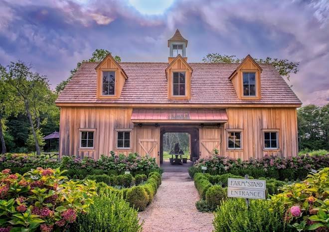 Beach plum farm