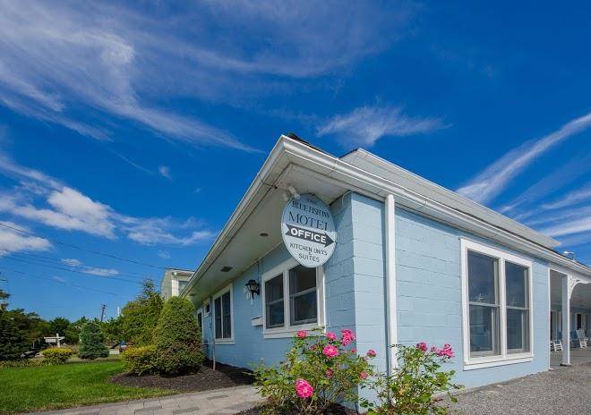 Blue fish inn