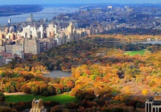 Courtyard By Marriott Edison Woodbridge Image