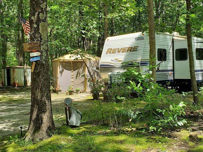 Pine cone resort