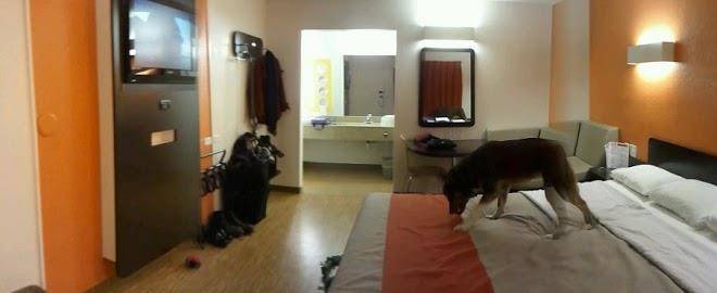 Motel 6 albuquerque west coors road